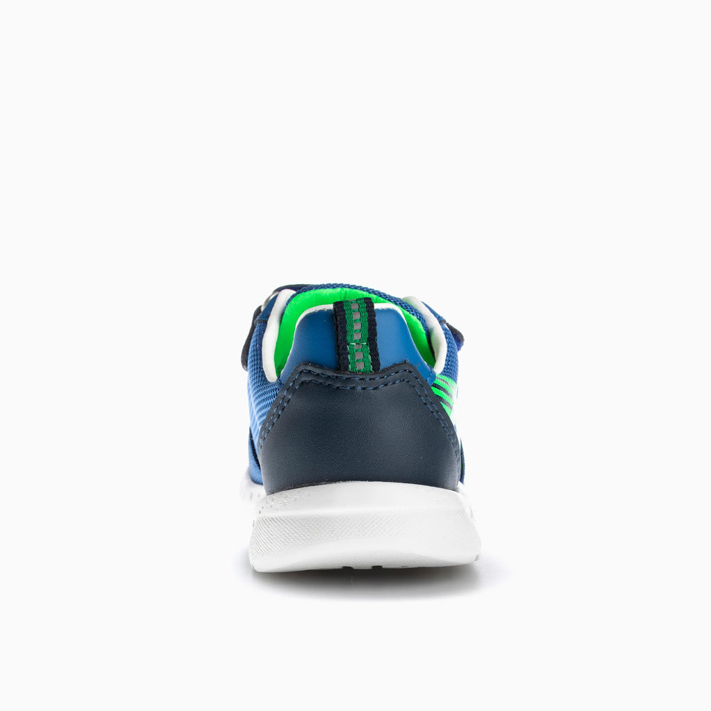XANDAR 296440